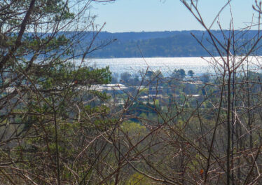 Lake Guntersville Lot For Sale, Realtor For John Wesley Brooks