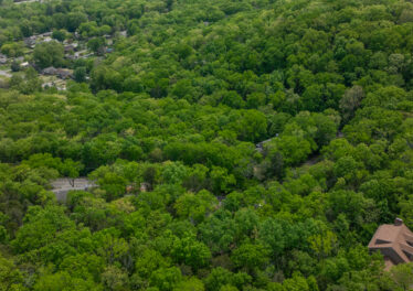 Renovated 4-Bedroom Home on 1.28 Acres | Private Retreat in Huntsville AL for Sale