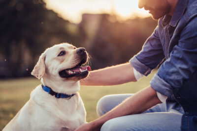 Best Dog Walking Trails Near Meridianville and Harvest