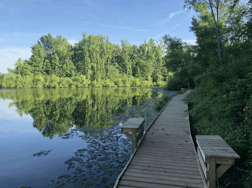 Home Buying, Buying a home, realtor blog post, Madison Alabama, realtor Recommended, Home buyer tips, Realtor John Wesley Brooks, Huntsville Alabama